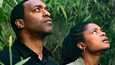 Uusimman The Man Who Fell to Earth -sovituksen pääosissa ovat Chiwetel Ejiofor ja Naomie Harris.
