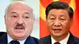 Valko-Venäjän johtaja Aljaksandr Lukašenka ja Kiinan johtaja Xi Jinping