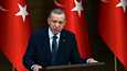 Bloombergin lähteiden mukaan Turkin presidentin Recep Tayyip Erdoğanin mielestä Suomen toimenpiteet Turkin turvallisuushuolien ottamiseksi huomioon ovat olleet riittäviä.