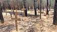 Harkovan alueella sijaitsevasta Izjumin kaupungista on löydetty hautapaikka, jossa on satoja ruumiita. Ukrainan puolustusministeriö julkaisi kuvan merkitsemättömistä haudoista.