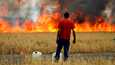 Mies katsomassa tulipaloa, joka polttaa vehnäpeltoa Zamoran maakunnassa Espanjassa 18. heinäkuuta.