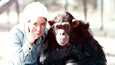  Janis Carter sanoo dokumentissa kohdanneensa Lucy-simpanssin tasaveroisena persoonana.