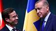 Ruotsin pääministeri Ulf Kristersson (vas.) ja Turkin presidentti Recep Tayyip Erdoğan tapasivat Ankarassa marraskuussa.