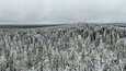 Metsien hiilinielun heikentymisen taustalla on muun muassa metsien kasvun hidastuminen. Se näkyy esimerkiksi Ison Kärväsvaaran maisemissa Rovaniemellä, jossa Luonnonvarakeskus on tutkinut metsien kasvua. 