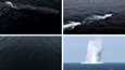 Pohjois-Korean valtiollisten tiedotusvälineisen kuvissa näkyi suurikokoinen, tumma torpedonmuotoinen esine sekä räjähdyksestä kertovia merkkejä merenpinnalla.