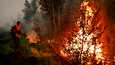 Metsää paloi Jakutiassa vuosi sitten otetussa valokuvassa.