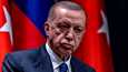 Presidentti Erdoğanin hallinto käy diplomaattista kamppailua maansa vitsikkäästä englanninkielisestä nimestä.