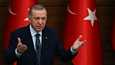 Turkin presidentti Recep Tayyip Erdoğan vastustelee edelleen Suomen ja Ruotsin Nato-jäsenyyden ratifioimista.