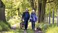 Dave (Dave Johns) ja Fern (Alison Steadman) kohtaavat ulkoiluttaessaan koiriaan.