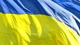 Ukrainan ja Kansainvälisen olympiakomitean liput liehuivat Zaporižžjassa, Ukrainassa Tokion olympialaisten kunniaksi heinäkuussa 2021.