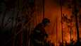 Palomies sammuttaa metsäpaloa Alvaiázeren kunnan lähettyvillä Portugalissa 10. heinäkuuta.