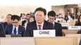 Kiinan Geneven-suurlähettiläs Yu Jianhua puhui helmikuussa 2019 YK:n ihmisoikeusneuvostossa Genevessä. Hän sanoi Xinjiangin maakunnan tilanteesta, että Kiinan kaikki etniset ryhmät elävät suurena onnellisena perheenä ja ovat toisilleen läheisiä ”kuin granaattiomenan siemenet”.