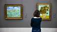 Aktivistit pyrkivät saamaan erikoisella iskukohteella mahdollisimman paljon huomiota. Kuvassa Vincent van Goghin teoksia Alte Pinakothek -taidemuseossa Münchenissä.