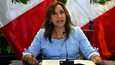 Perun presidentti Dina Boluarte määräsi perjantaina Meksikon-suurlähettiläänsä palaamaan takaisin kotimaahansa.