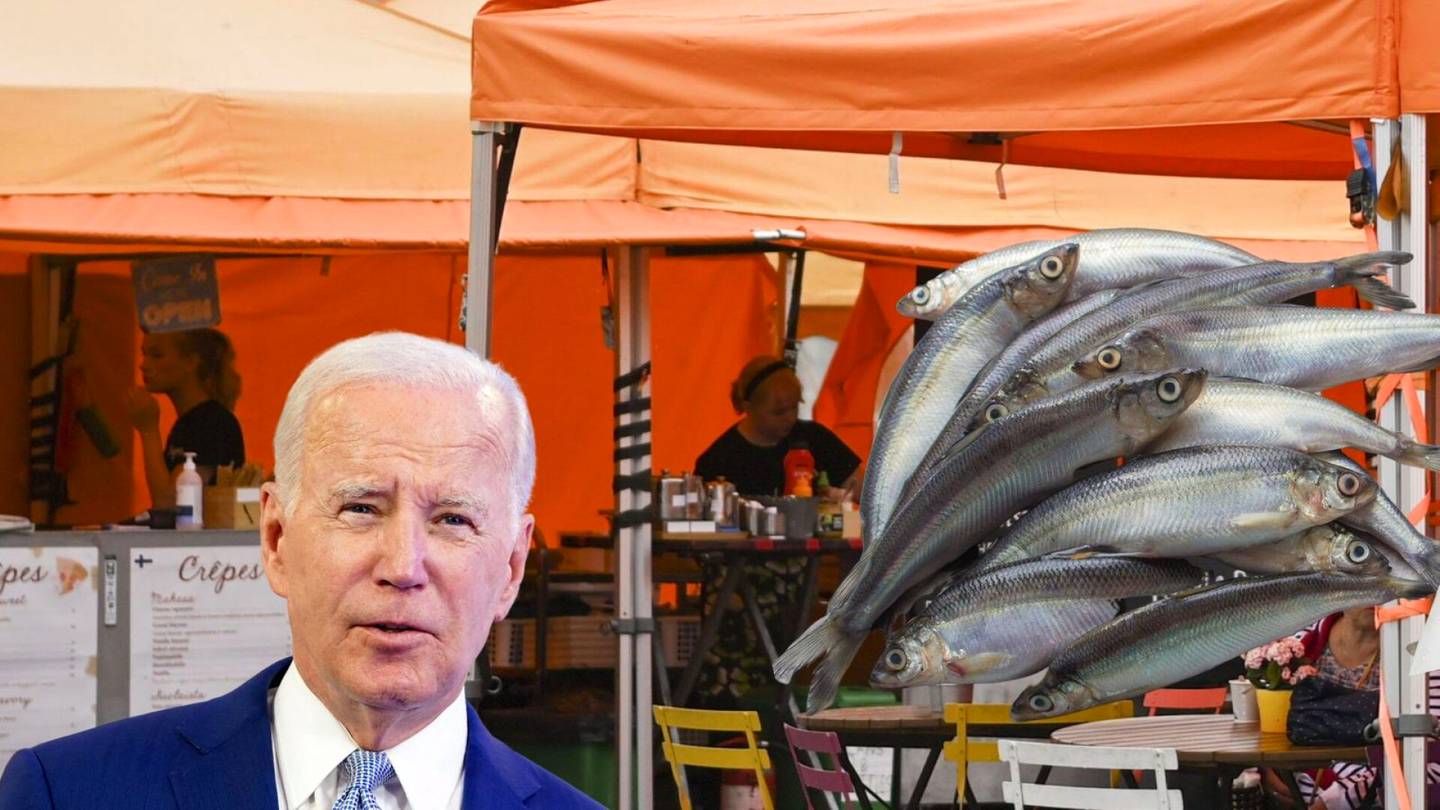 Biden Suomessa | Helsinkiläiset antoivat Bidenille merellisiä ravintola­vinkkejä: ”Kauppatorille syömään muikkuja”