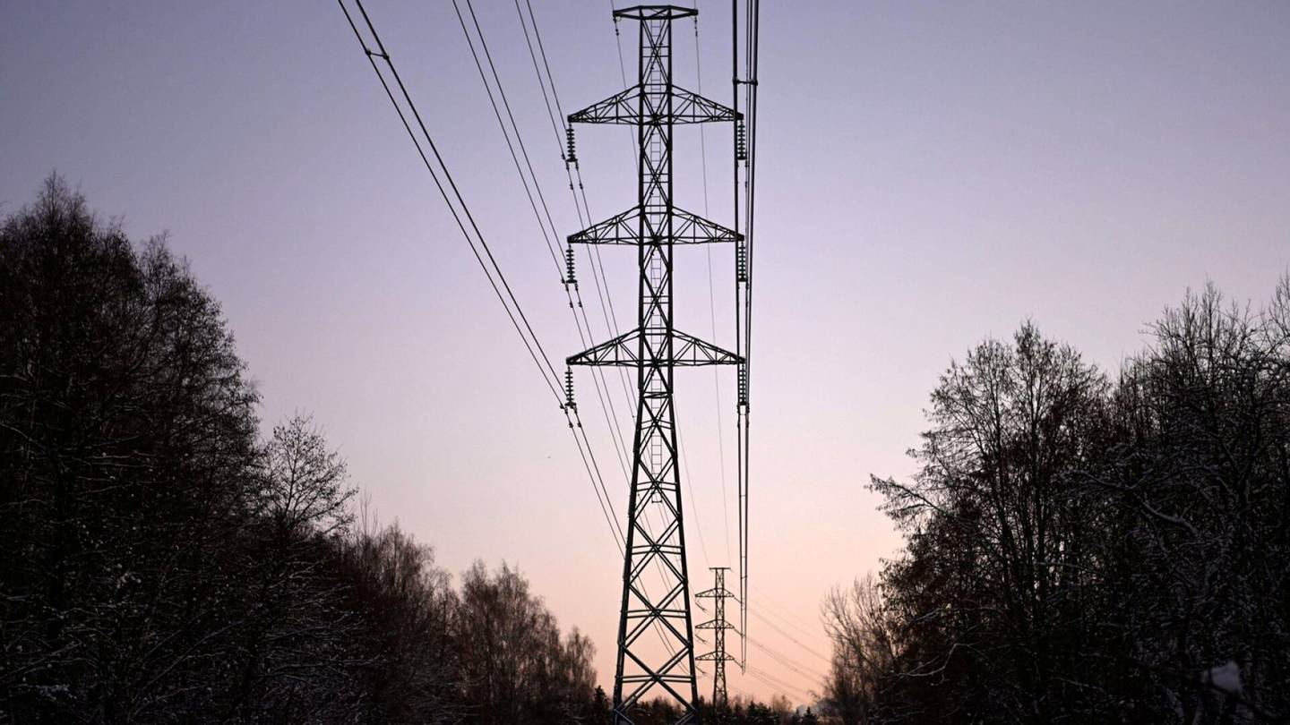 Huoltovarmuus | Energia­teollisuus tyrmää tutkija­ryhmän arvion sähkö­pulasta: Tuonnin päättyminen ei vaaranna sähkö­järjestelmää