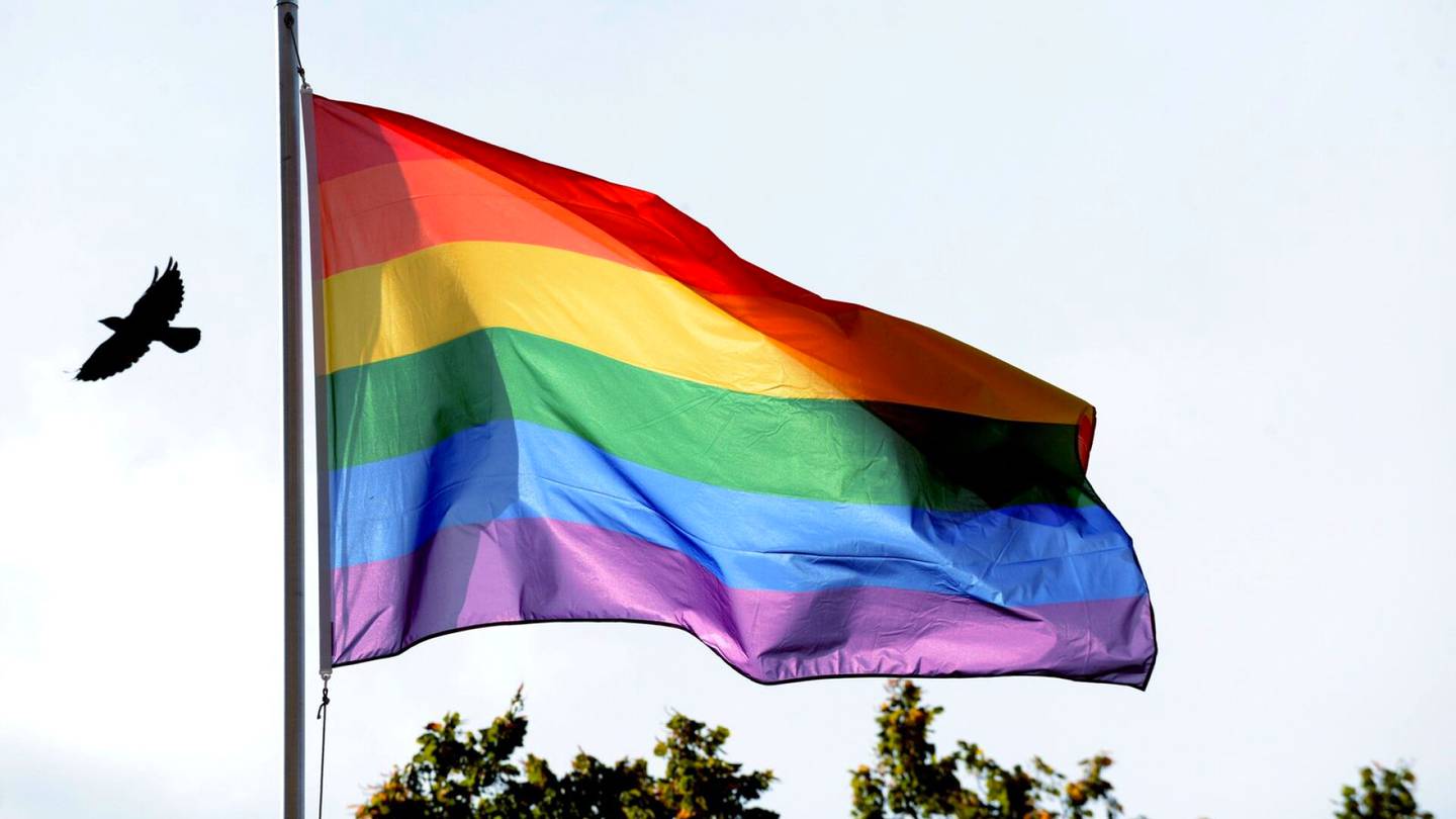 Pride | Poliisi huomioi äärioikeistoon liittyvän keskustelun Priden turvallisuusarviossaan