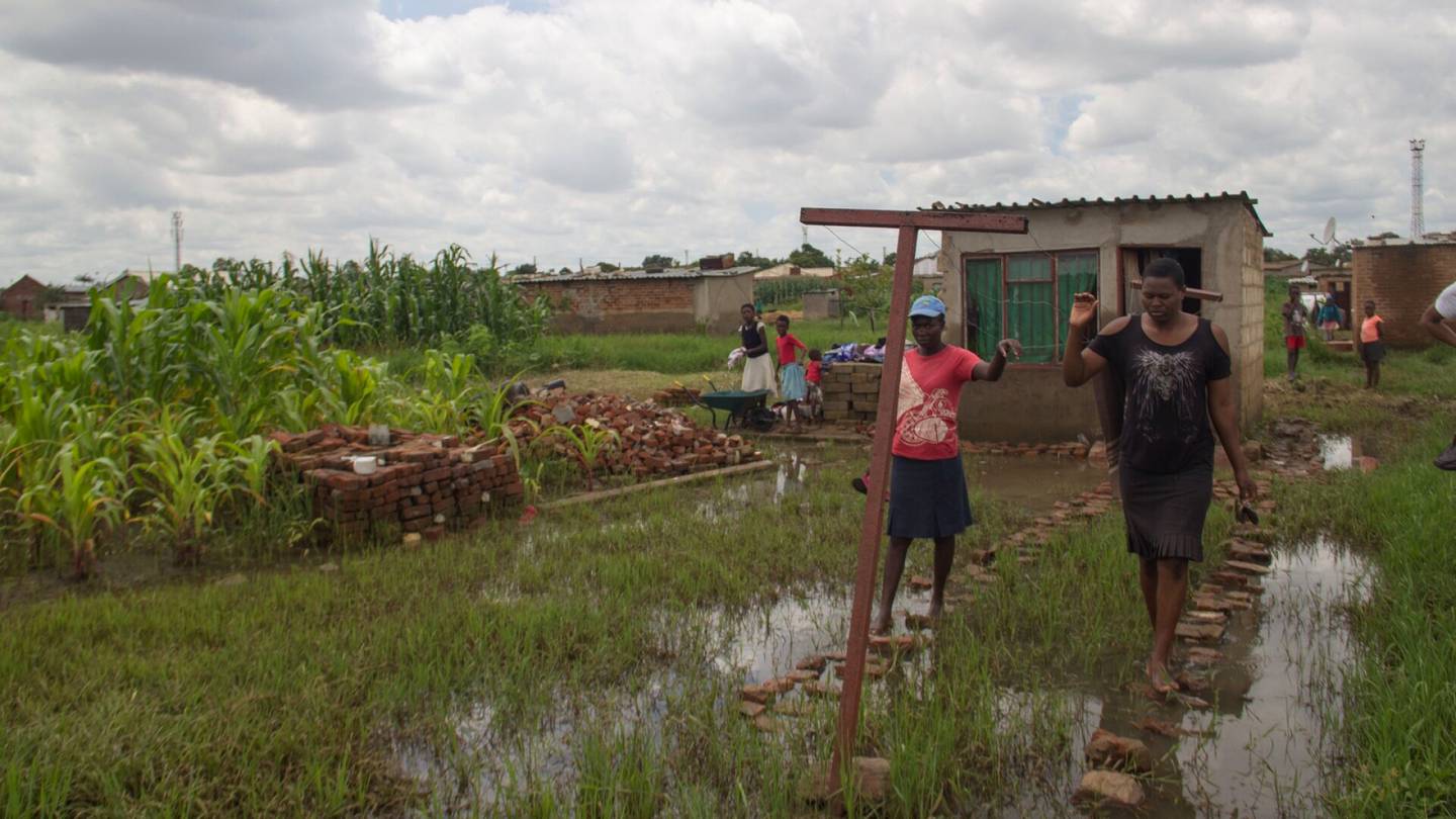 Zimbabwe | Kosteus kiipeää seinää pitkin, ja kaikki homehtuva sullotaan muovi­pusseihin – Köyhimmät asuvat kosteikoissa, joille rakentaminen on järjetöntä