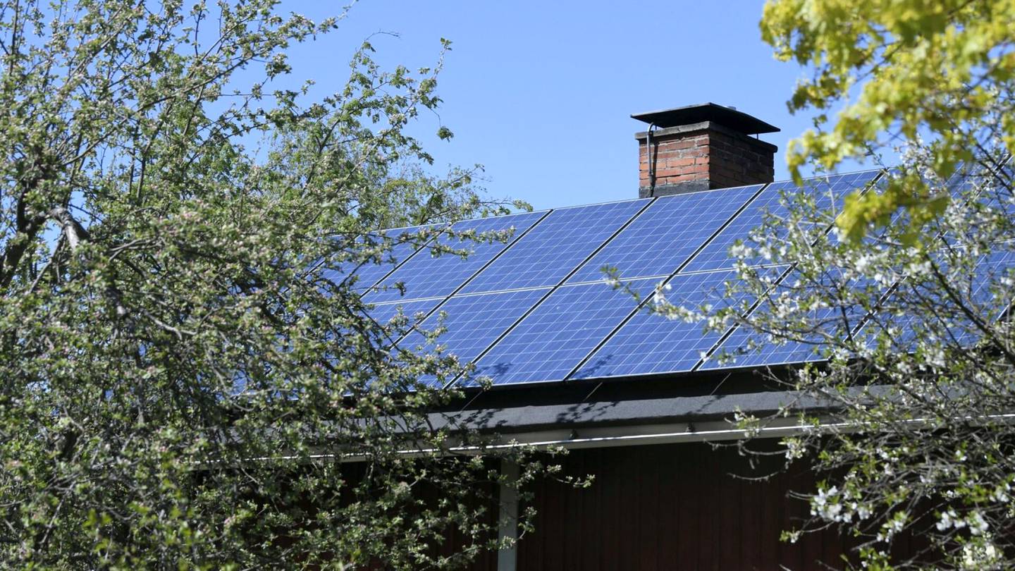 Energia | Aurinkopaneeleiden odotusajat ovat jopa kaksinkertaistuneet viime vuodesta – ”En usko, että tämä tulee tästä helpottumaan”
