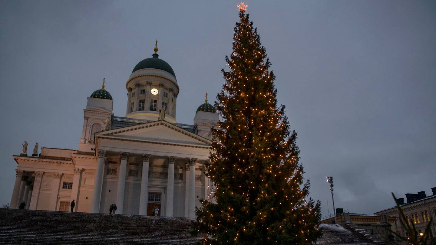 Joulu | Helsinki etsii kuumeisesti joulukuusta Senaatintorille, pyytää nyt omakotiasukkailta apua