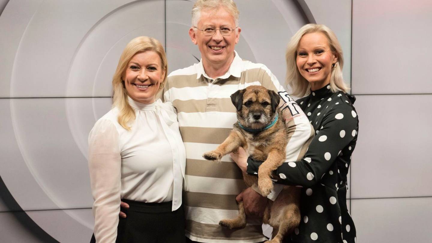 Televisio | MTV: Pekka Poudan koirat aiheuttivat allergiaa Maikkarilla, lemmikeille lähtö­passit