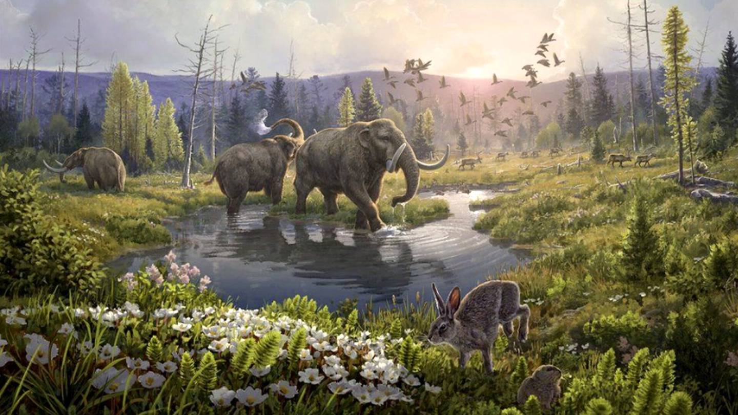 Paleontologia | Maailman vanhin dna paljasti, että Pohjois-Grönlannin viheriöillä eli jopa norsun sukulaisia