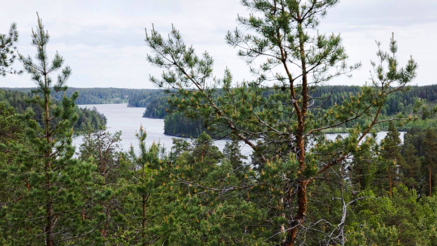 Lukijan mielipide | Suomen pitää edistää globaalia hiilensidontaa