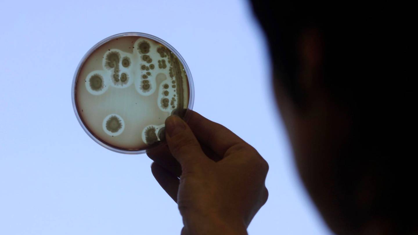 Tiede | BBC: Teko­äly seuloi super­bakteeriin tehoavan anti­biootin puolessa­toista tunnissa