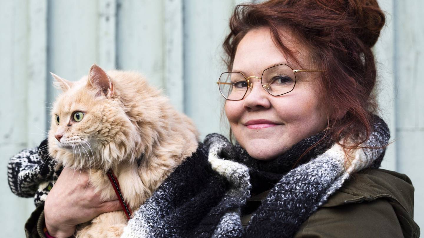 Minä ja hän | Kirjailija Katja Ketun kissa oli karkuteillä kolme kuukautta, ja sen jälkeen siitä tuli rakkauden kissa