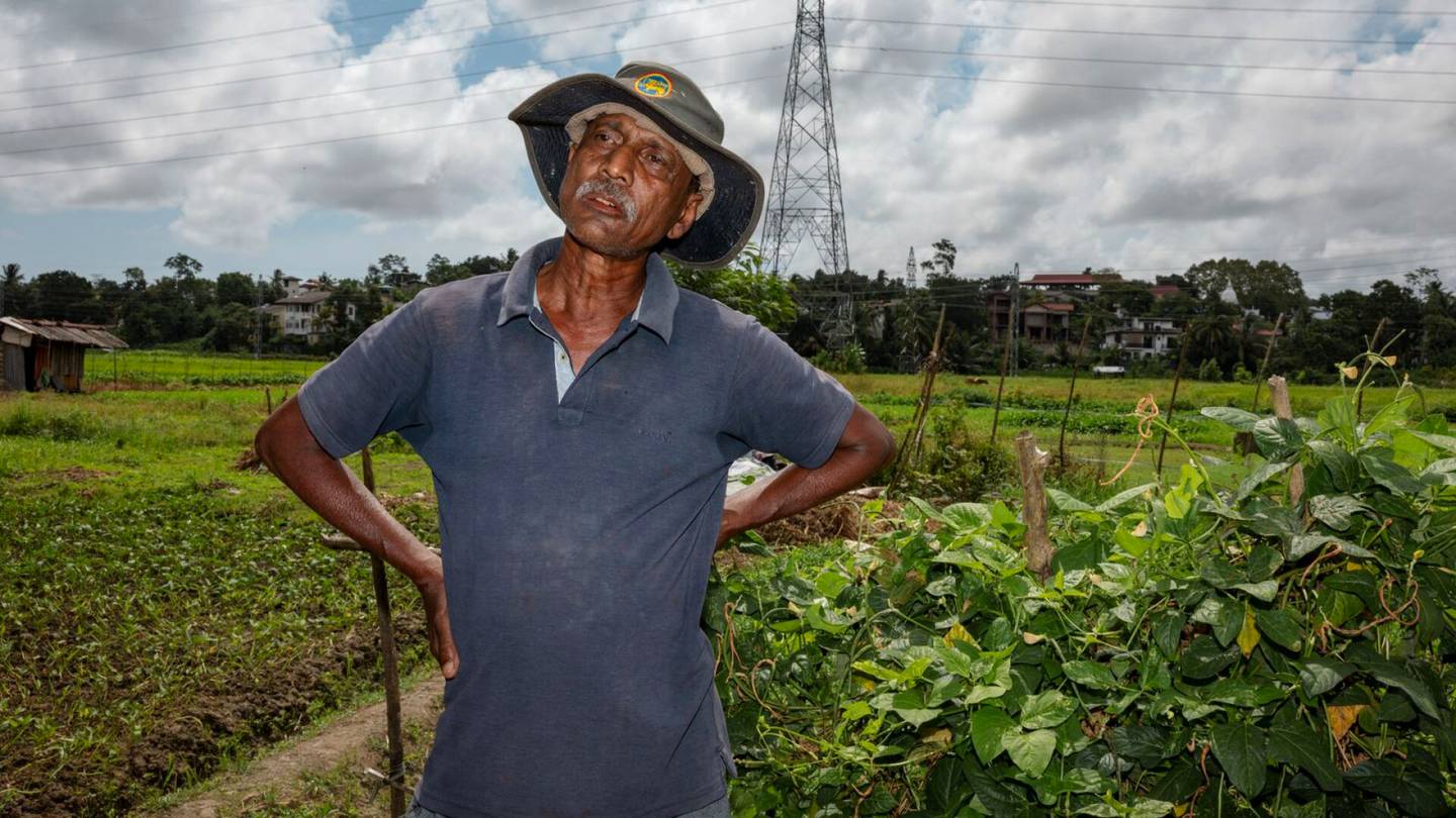 HS Ympäristö | Epäonnistunut luomuviljely ajoi Sri Lankan katastrofiin, mutta luomu ei ole maailman ruoka­kriisin suurin syyllinen