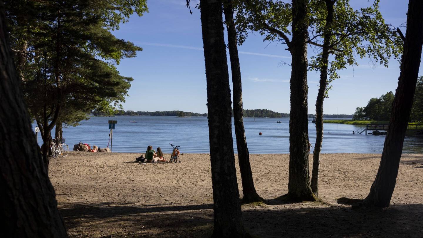 Helsinki | Natura-alueen vieressä pidettiin reivit lintujen pesimäaikaan – Kokenut reivijärjestäjä: ”En itse järjestäisi”