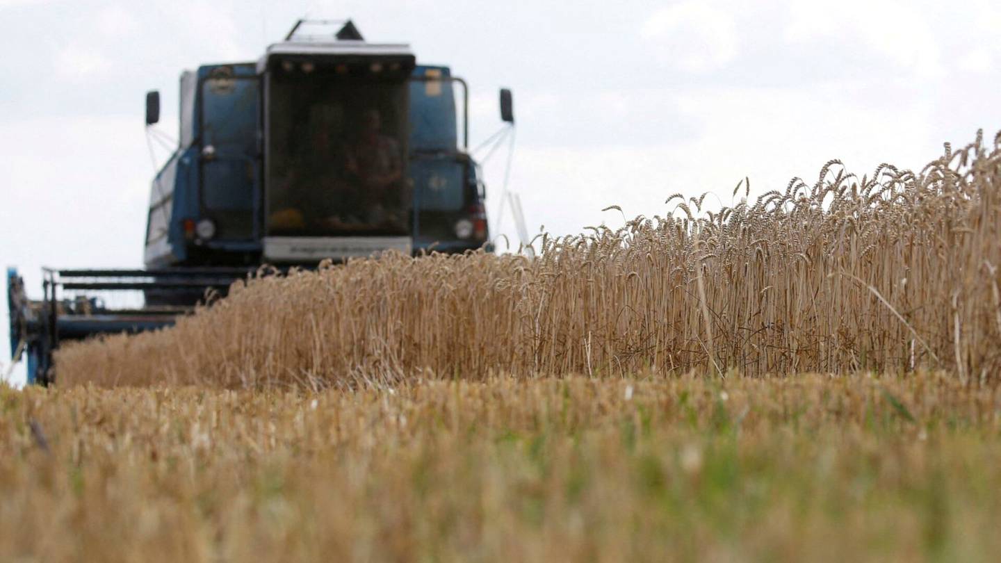 Ruoka | Ukrainan kriisissä vastakkain ovat maailman suurimmat viljantuottajat – sota voisi näkyä myös suomalaisen ruokakaupan hyllyllä