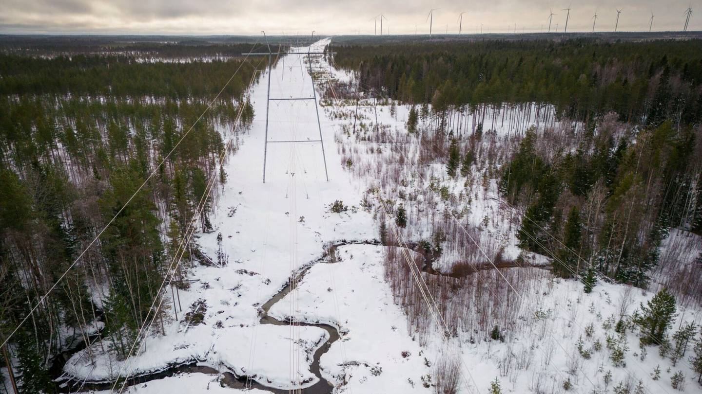 HS Ympäristö | Suomen luonnosta 70 prosenttia on jo hävitetty, siksi luonto­kadon pysäyttäminen vaatii jyrkkiä toimia