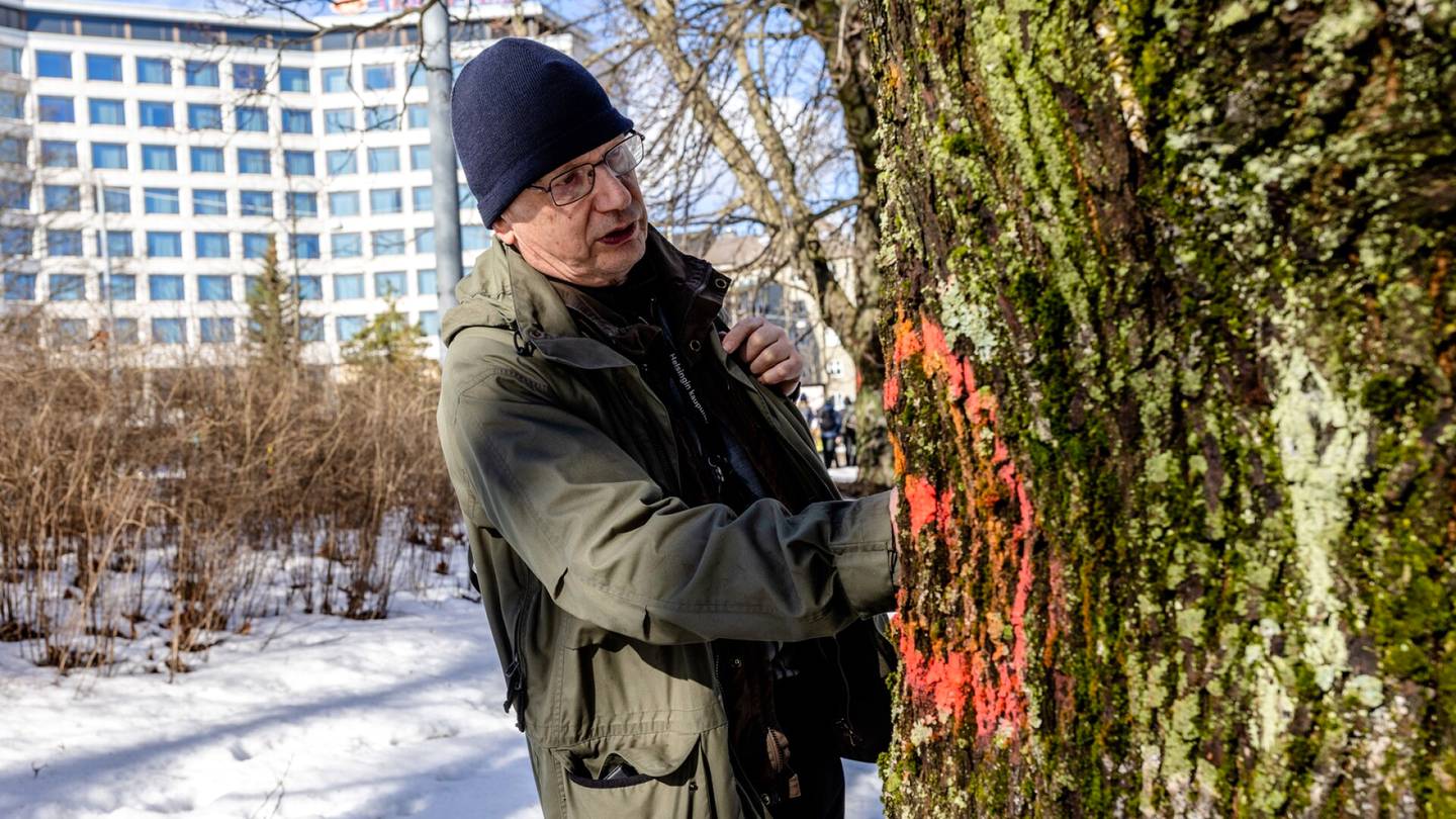 HS Ympäristö | Helsingin suurin remontti mullistaa näkymät Mannerheimintiellä