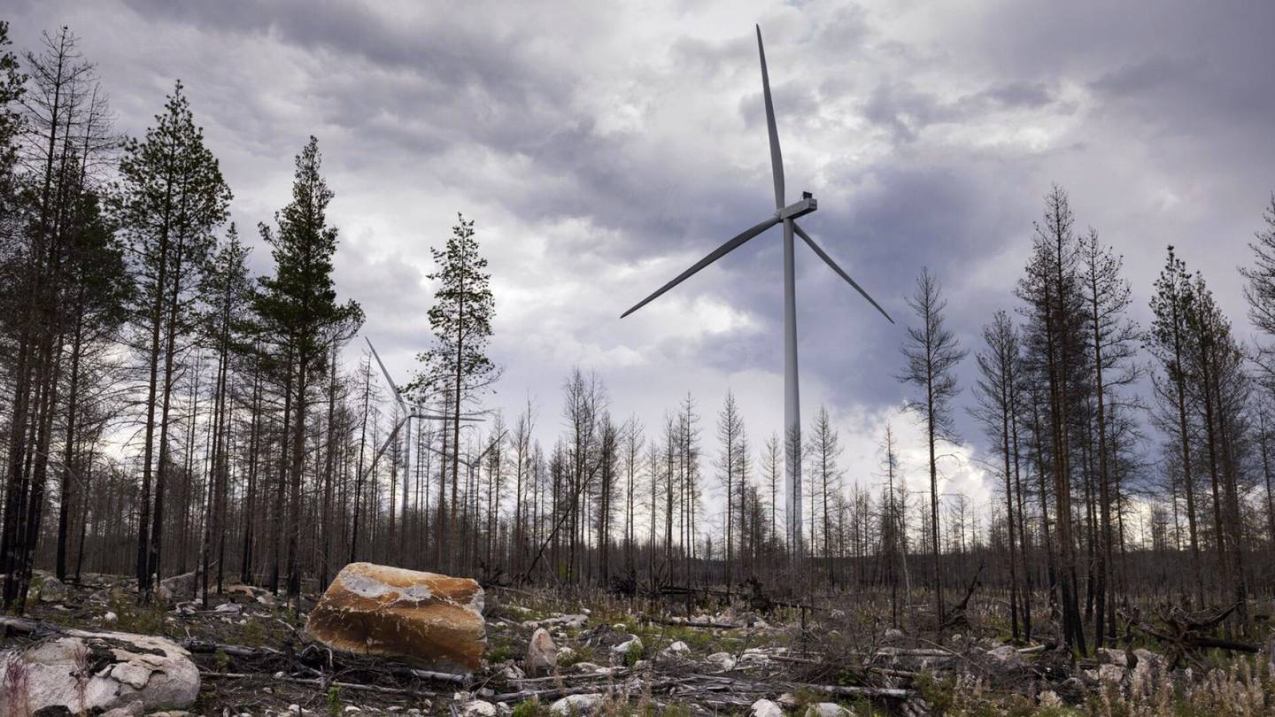 Tuulivoima | Itä-Suomi voi päästä tuulivoiman vero­tuloista osille, jos hallituksen suunnitelma toteutuu