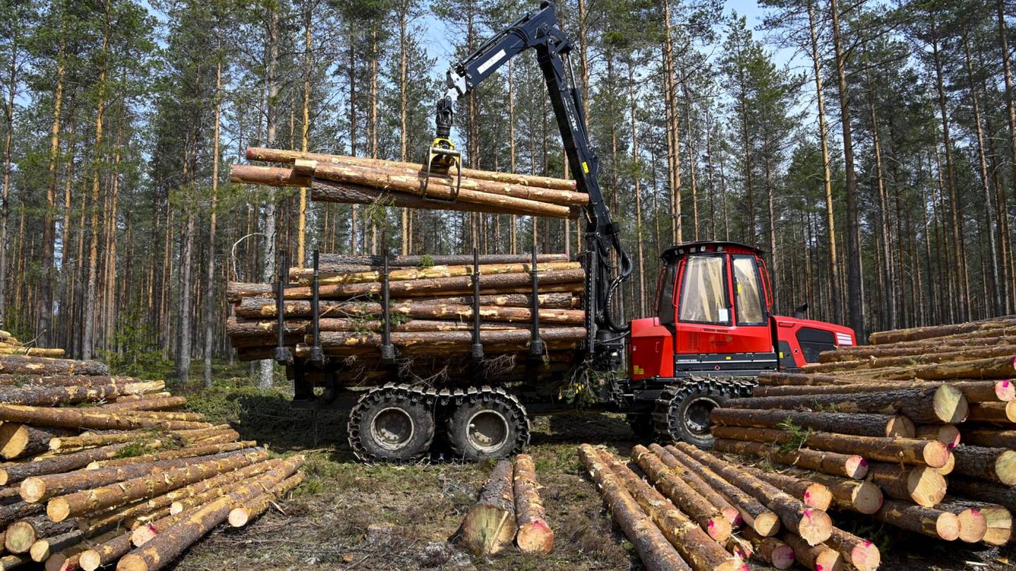 Metsäteollisuus | Metsäteollisuuden näkymät kääntymässä kohti parempaa, ennustaa PTT