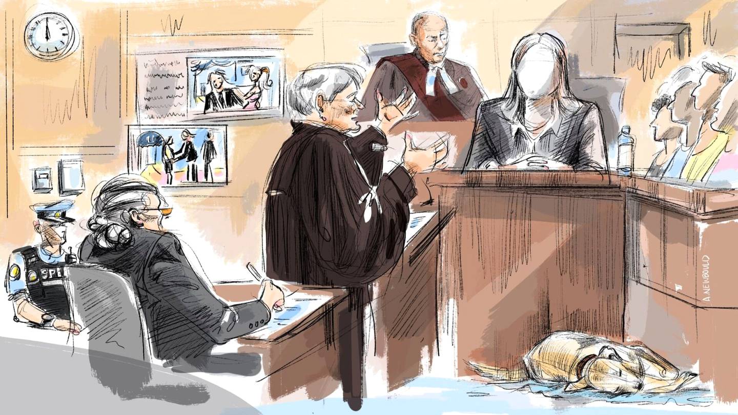 Oikeudenkäynnit | Peter Nygårdin oikeuden­käynti jatkui Kanadassa – puolustus yritti kyseenalaistaa todistajaa kysymällä muoti­miljonäärin suku­elimestä