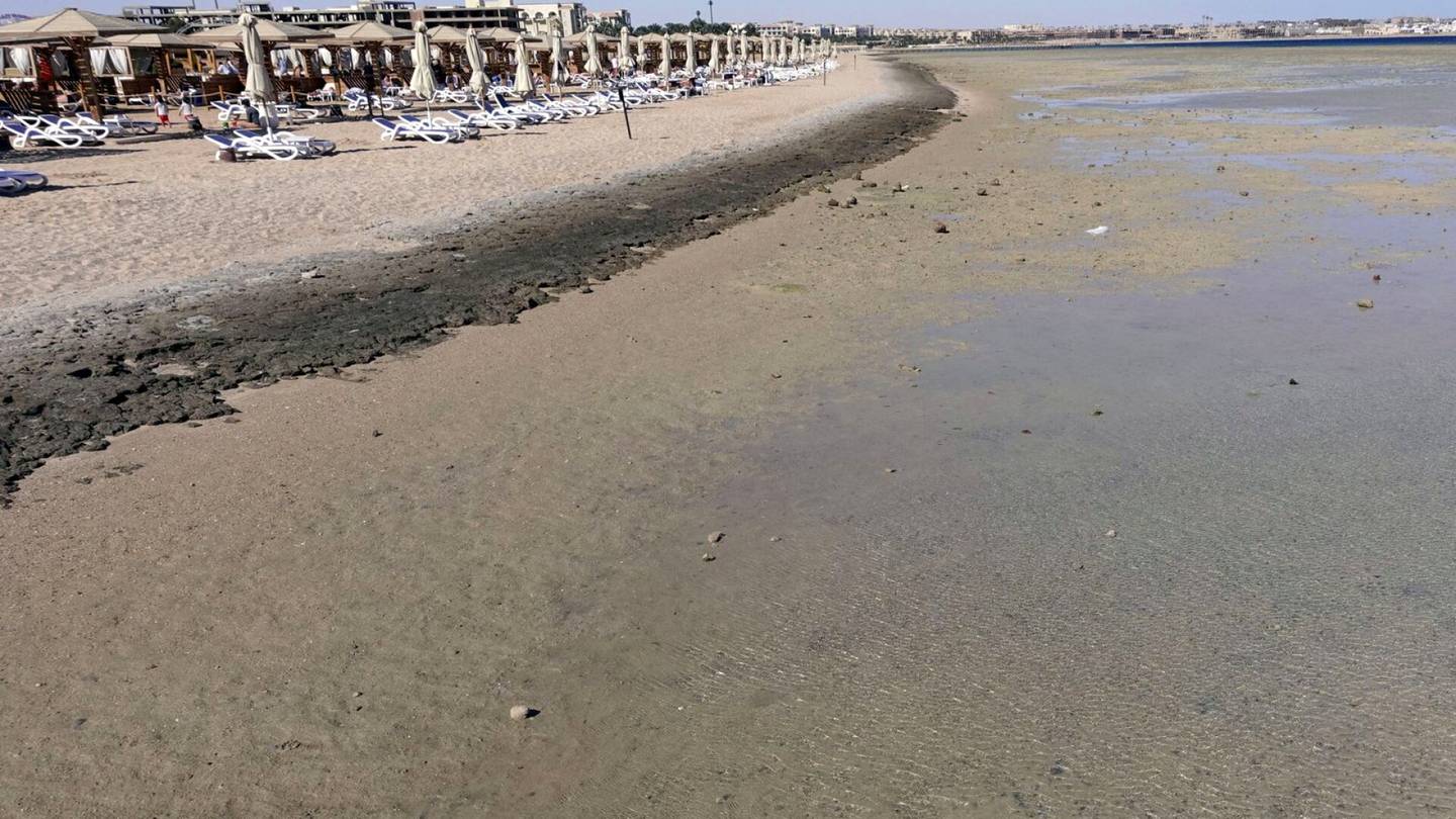 Egypti | Hai on tappanut kaksi turistia Egyptissä, alueen uimarannat suljetaan