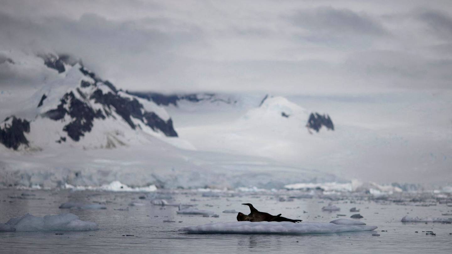 Ympäristö | Etelämantereelta puuttuu Argentiinan kokoinen alue meri­jäätä