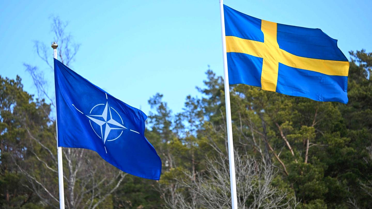 Ruotsi | Ruotsi tekee Natoon liittyvästä opetuksesta pakollista lukioissa