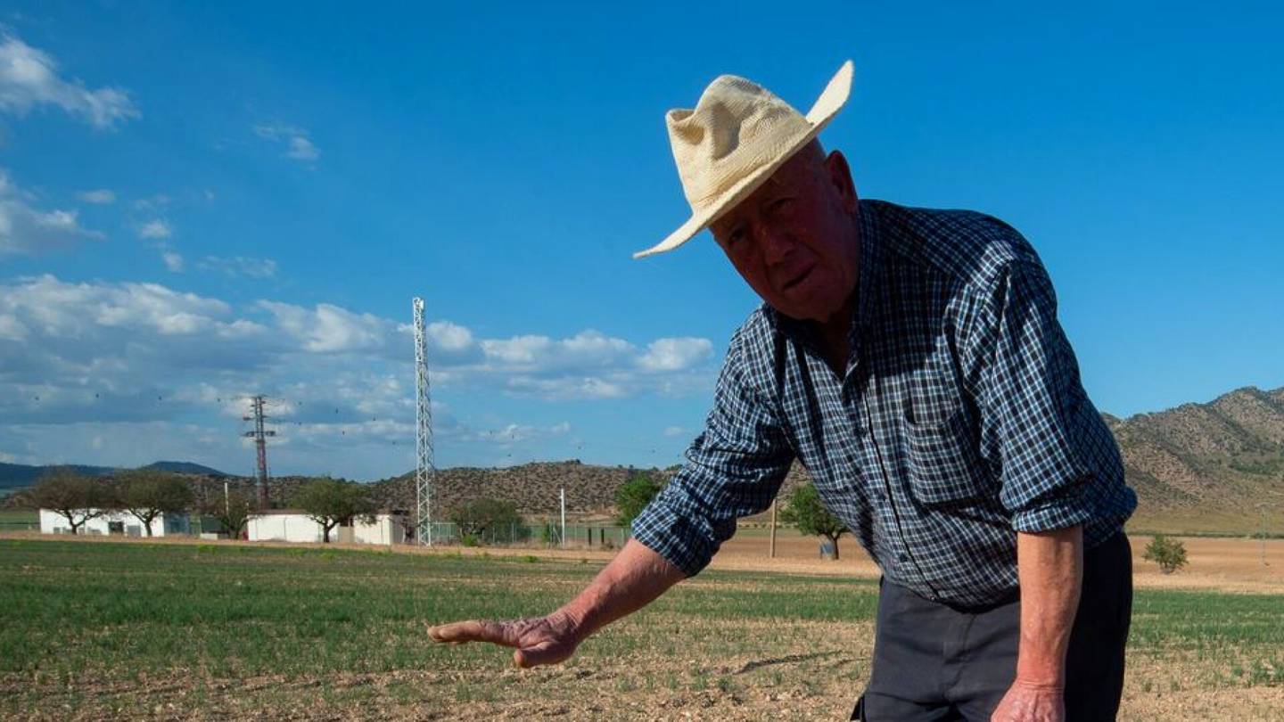 Maanviljelys | Espanja hakee EU:lta apua kuivuuden riuduttamille maan­viljelijöilleen