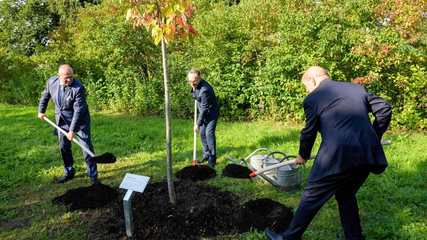 Saksa | Keskitysleirin uhrien muistoksi istutettuja puita tuhottiin Saksassa