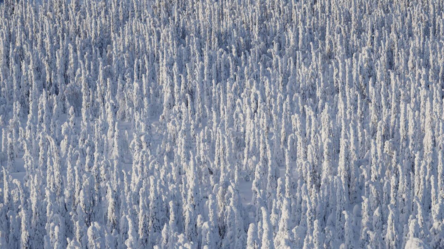 Talvi | Pakkasennätys rikki Muoniossa, lumi­sateet saapuvat Suomeen sunnuntaina