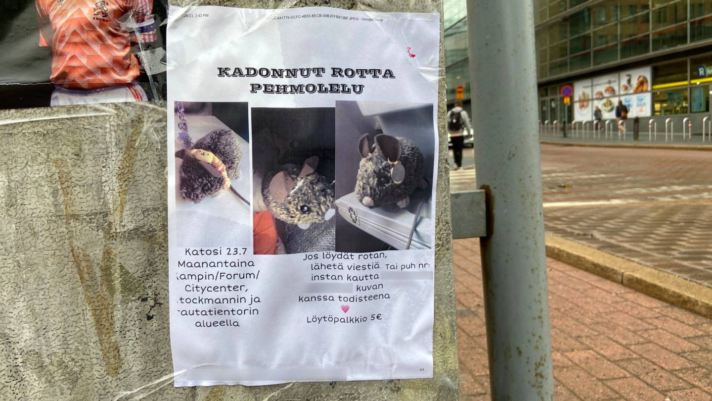 Katoamiset | Helsingin ydin­keskustaan ilmestyi julisteita, joissa etsitään kadonnutta pehmo­lelua