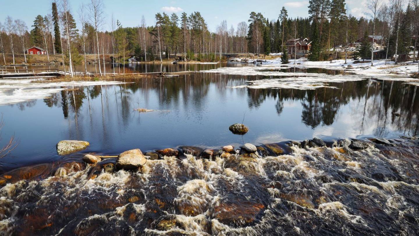 HS Ympäristö | Suomen historian suurin luonnon vuoksi tehty padon­purku lähellä toteutumista