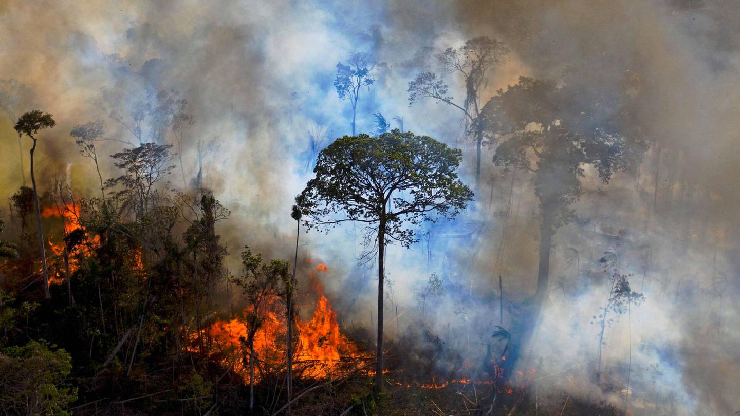 Pääkirjoitus | Bolsonaron ja Lulan kaksintaistelu on Amazonin sademetsän kohtalonhetki