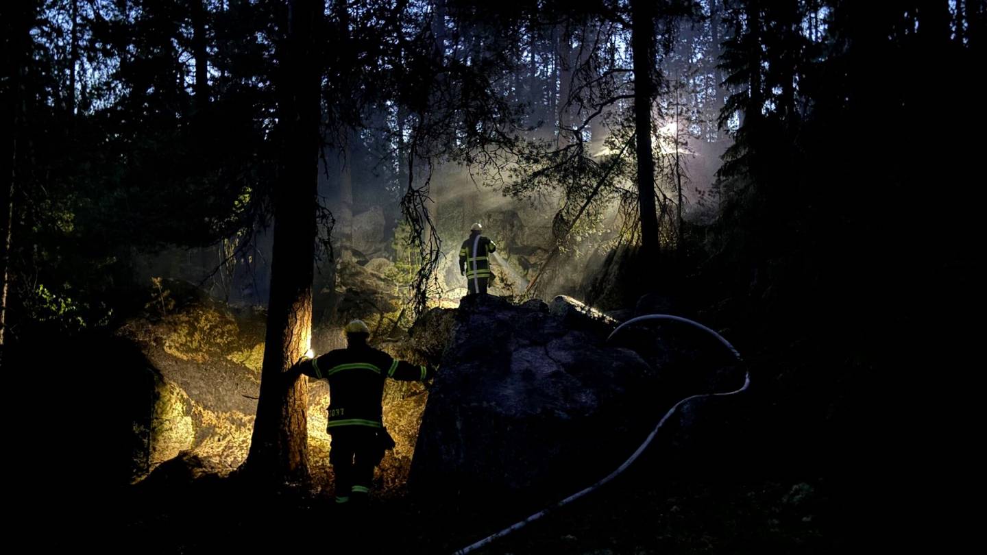 Tulipalot | Nokian luonnonsuojelu­alueella tulipalo, syttymissyystä ei tietoa