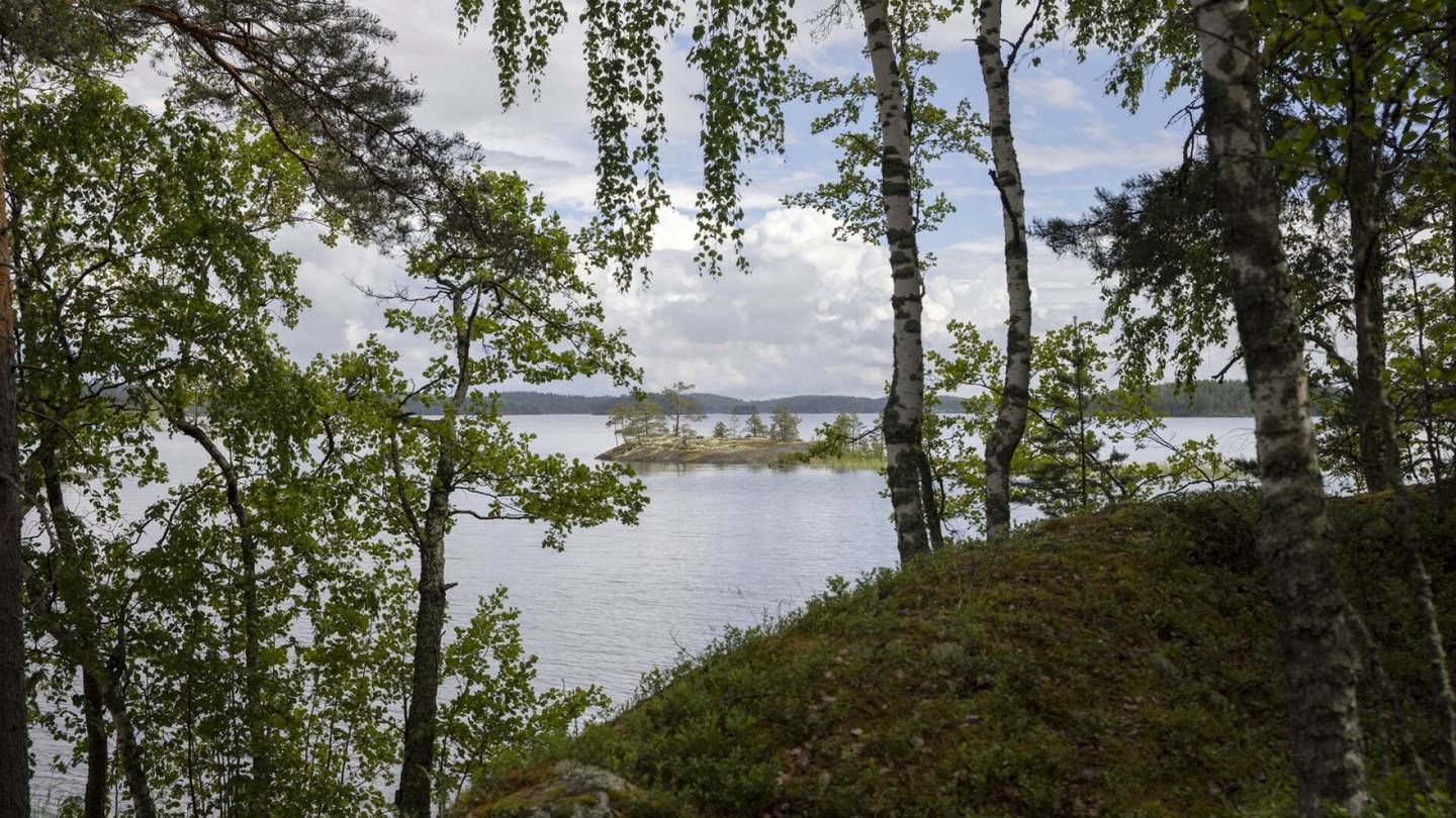 HS Rantasalmella | Ainutlaatuinen saari Saimaalla kuumentaa tunteita: ”Koko saari on alkanut tympiä