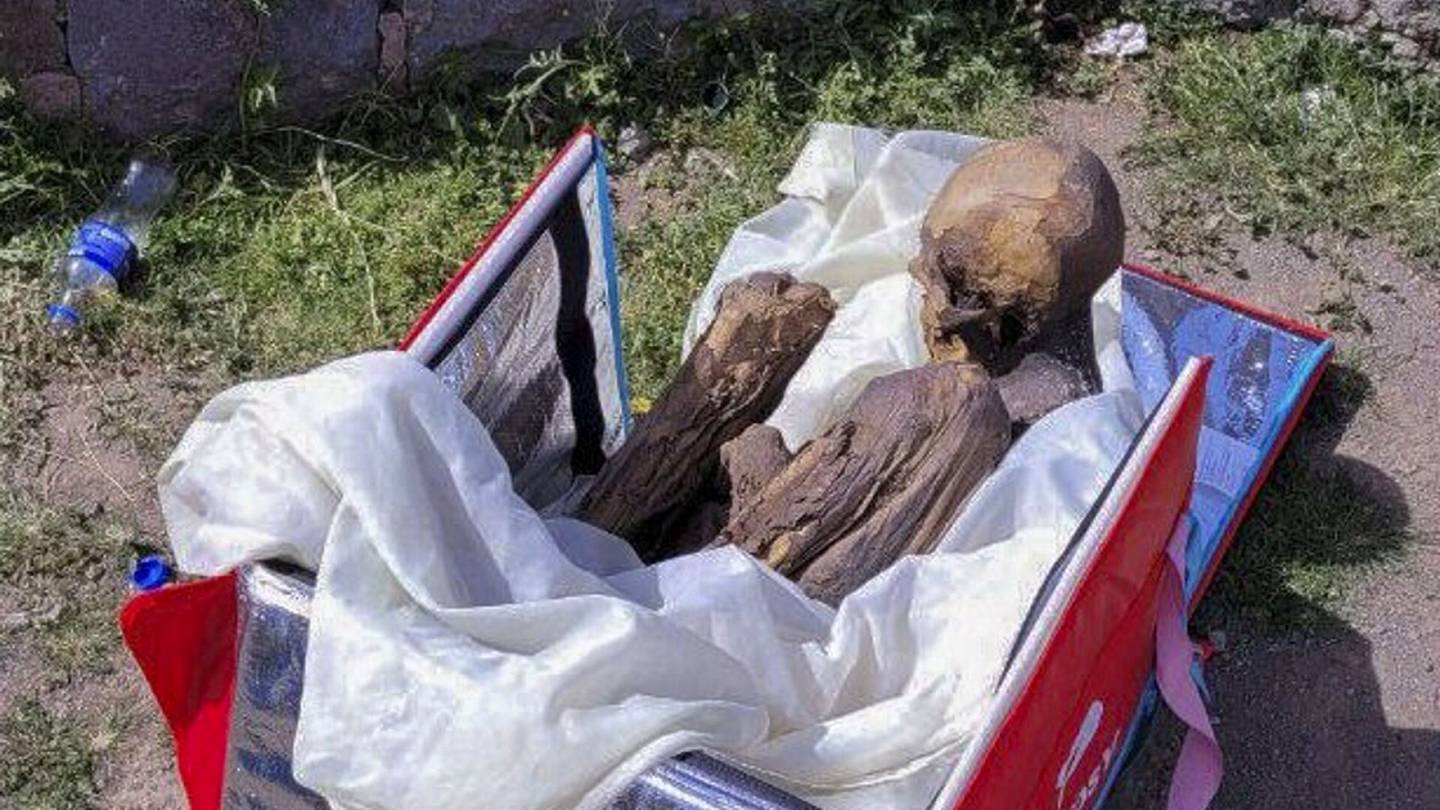 Video | Perulais­miehen kylmä­laukusta löytyi yli 600 vuotta vanha muumio