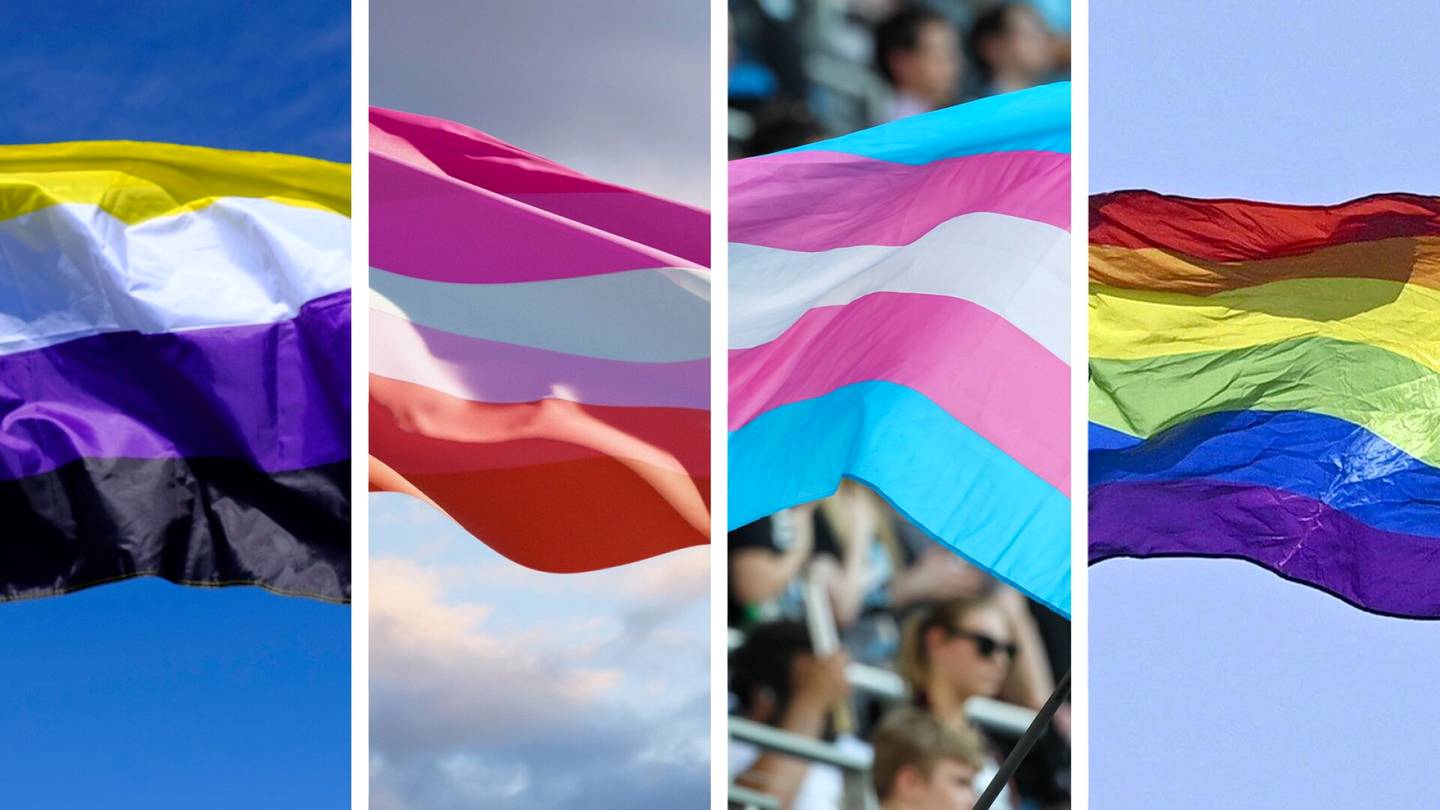 Visa | Sateenkaari­lippujakin on yli parikymmentä – Testaa, tunnetko Pride-liput